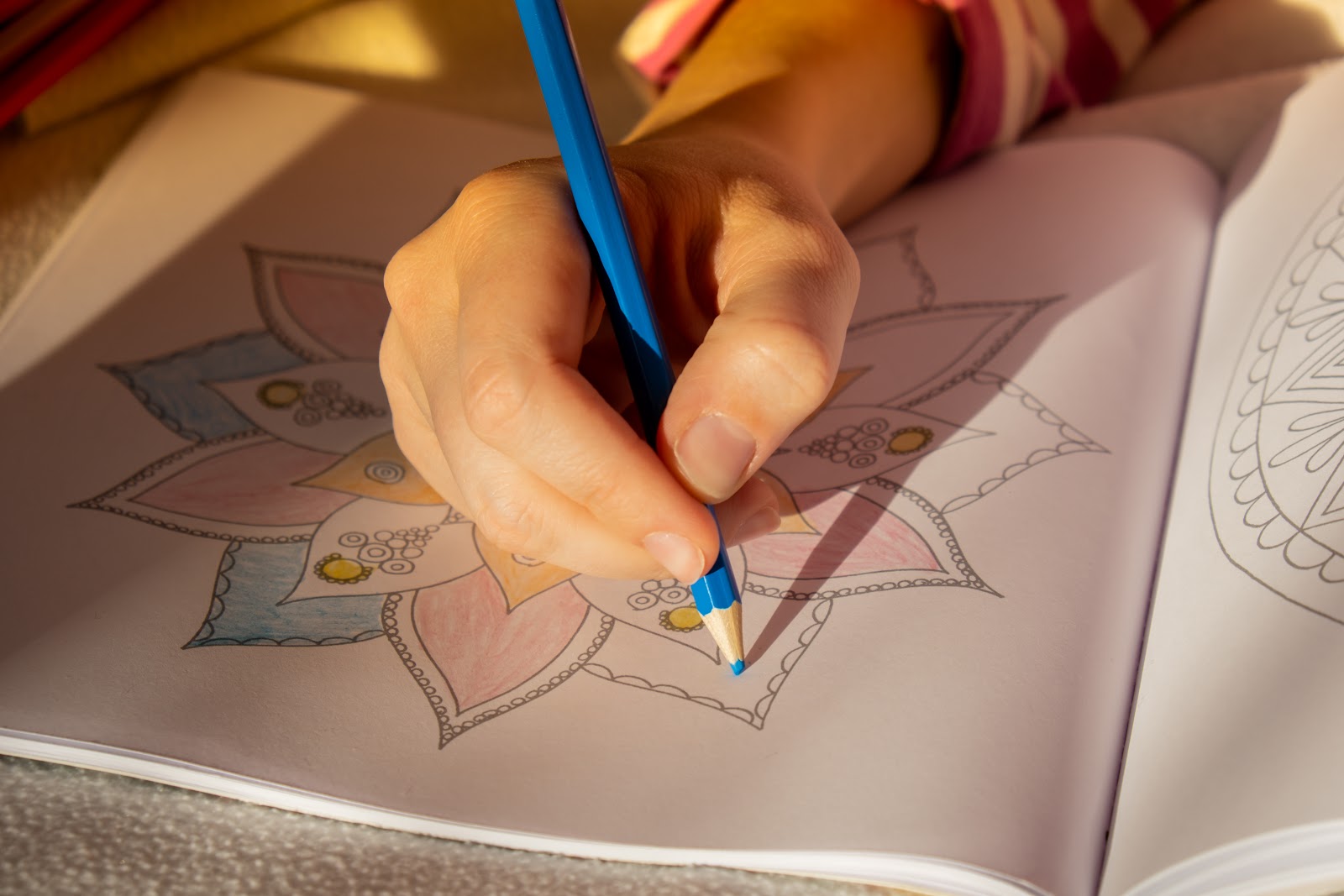 Livro para Colorir Adulto: Terapia e Diversão no Papel